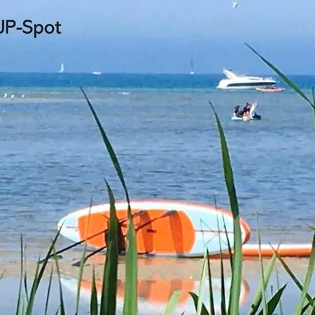 Strandlaeufer