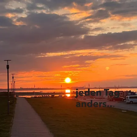 Strandlaeufer *