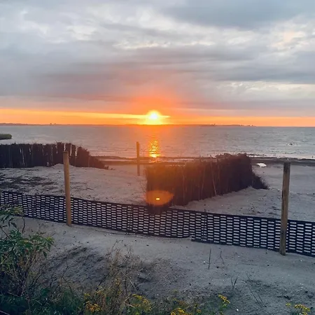 Strandlaeufer Wendtorf